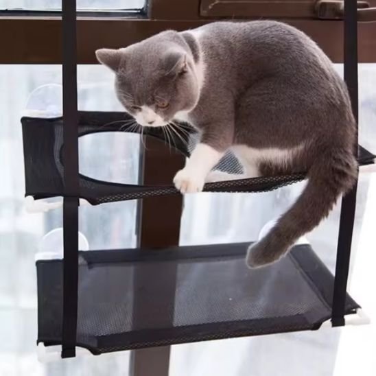 Hamac Chat FenĂȘtre | CozyView - Chats Dormeurs