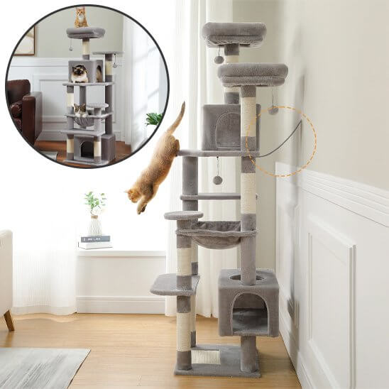 Arbre à chat | Multi-niveaux Confort - Pitou The Cat
