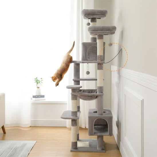 Arbre à chat | Multi-niveaux Confort - Pitou The Cat
