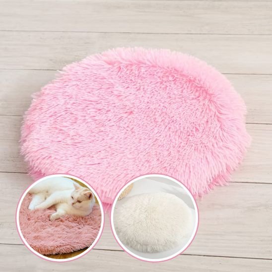 Coussin chat | Ultra-Moelleux - Pitou The Cat