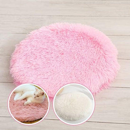 Coussin chat | Ultra-Moelleux - Pitou The Cat