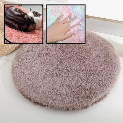 Coussin chat | Ultra-Moelleux - Pitou The Cat