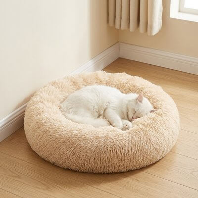 Coussin pour Chat | Moelleux - Pitou The Cat