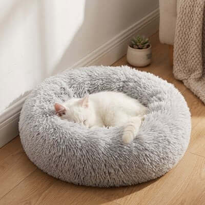 Coussin pour Chat | Moelleux - Pitou The Cat