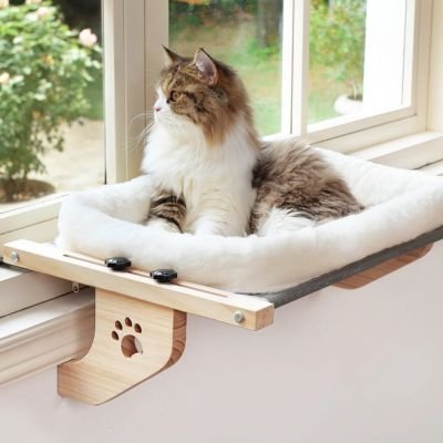Hamac pour Chat fenêtre | Confort Félin - Pitou The Cat