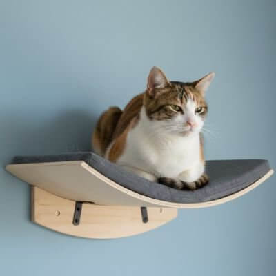 Hamac pour chat | Confortable et Sécurisé - Pitou The Cat