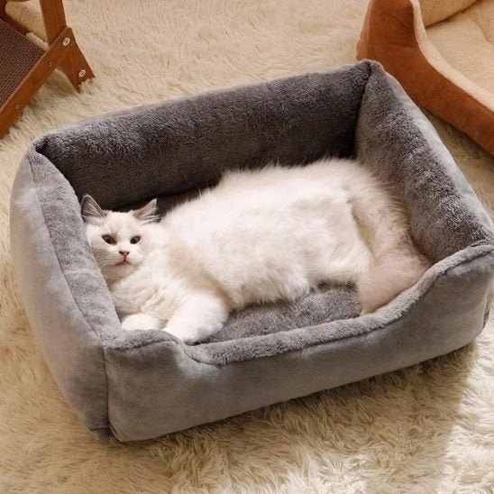 Lit pour chat | Royal Douillet - Pitou The Cat
