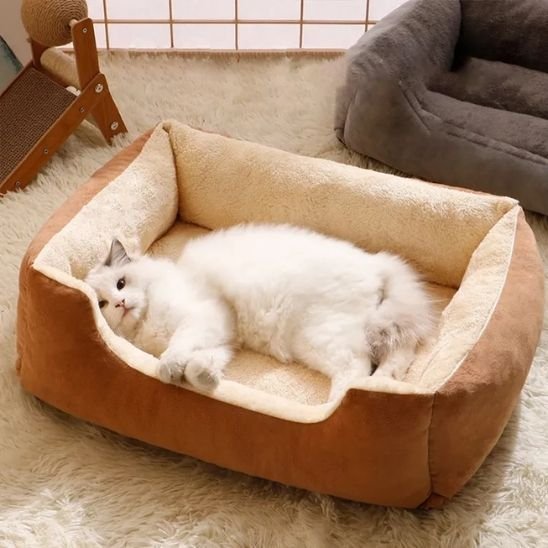 Lit pour chat | Royal Douillet - Pitou The Cat