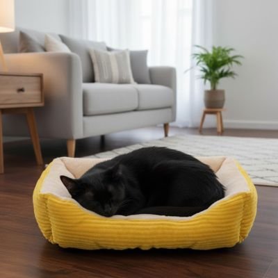 Panier chat | Design Douillet - Pitou The Cat