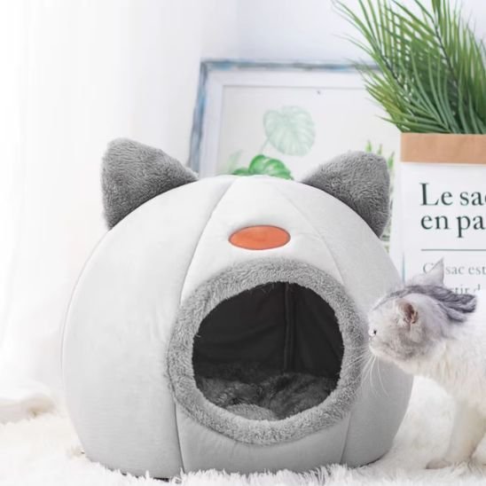 Panier pour chat | CozySecure - Pitou The Cat