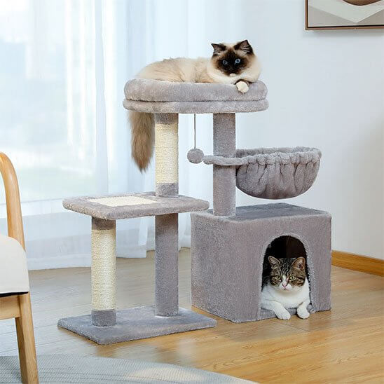 Petit arbre a chat | Compact et Solide - Pitou The Cat