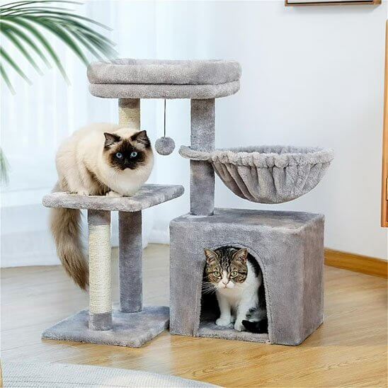 Petit arbre a chat | Compact et Solide - Pitou The Cat