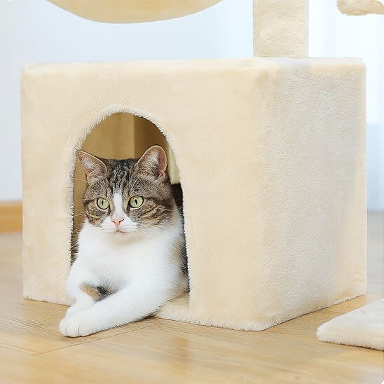 Petit arbre a chat | Compact et Solide - Pitou The Cat
